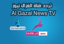 صورة تردد قناة الغزال نيوز Al Gazal News TV الجديد على النايل سات 2022