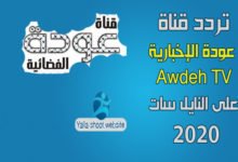صورة تردد قناة عودة الإخبارية 2022 Awdeh TV الفلسطينية على النايل سات والعرب سات