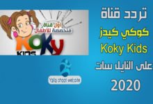 صورة تردد قناة كوكي كيدز الترفيهية 2022 Koky Kids على النايل سات