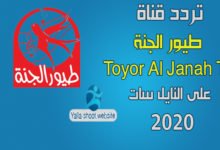 صورة تردد طيور الجنه 2022 Toyor Aljanah Tv على النايل سات 2022 الجديد
